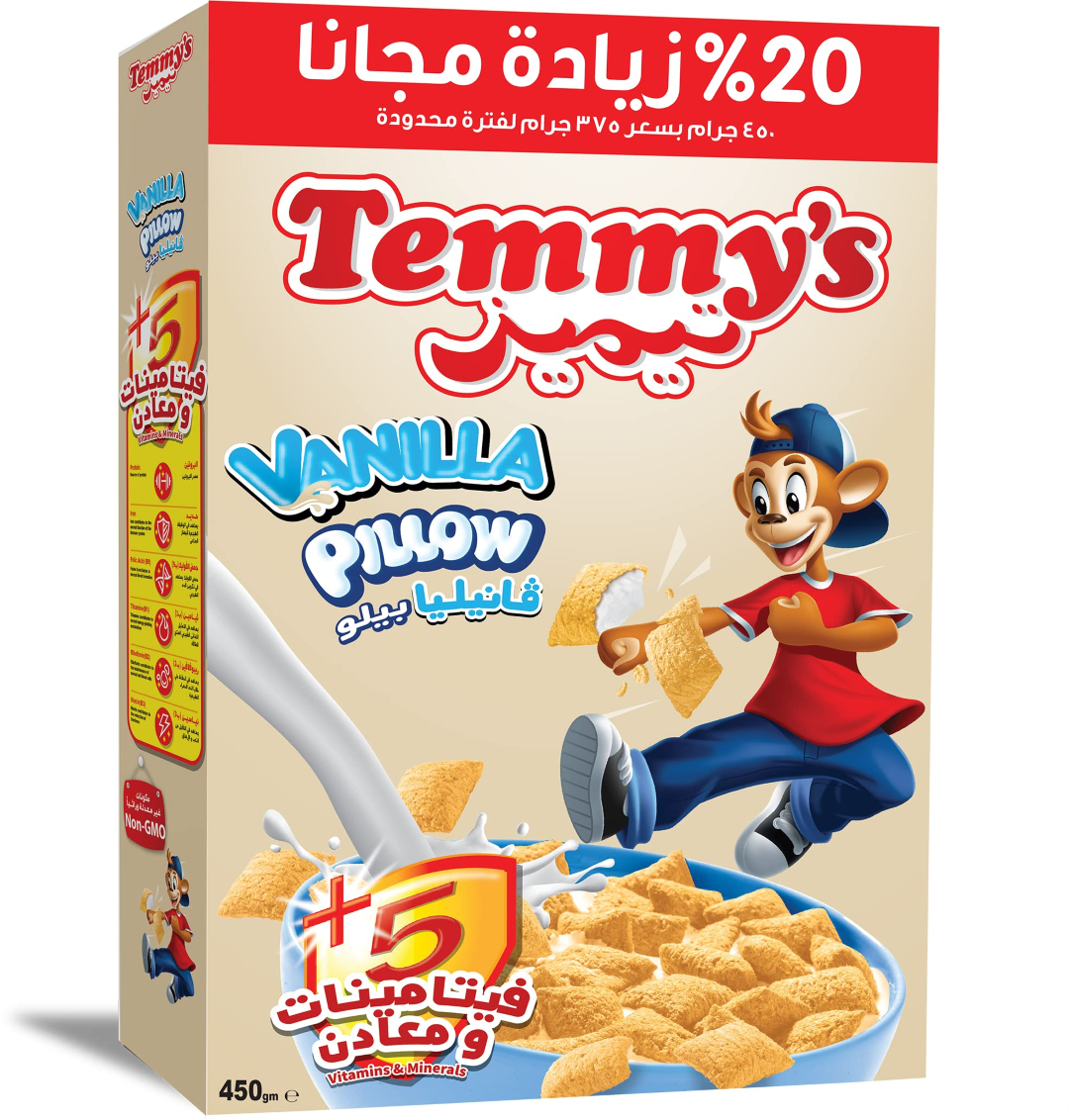 TEMMY'S CHOCO PILLOW 375G